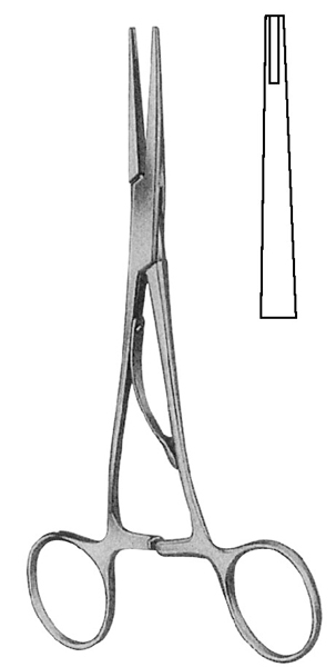 Text