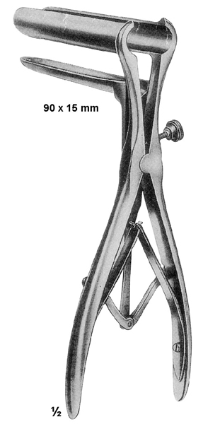 Text